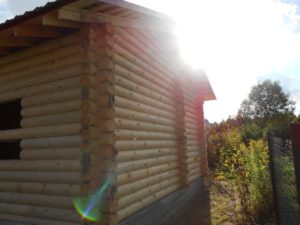 pic110_5